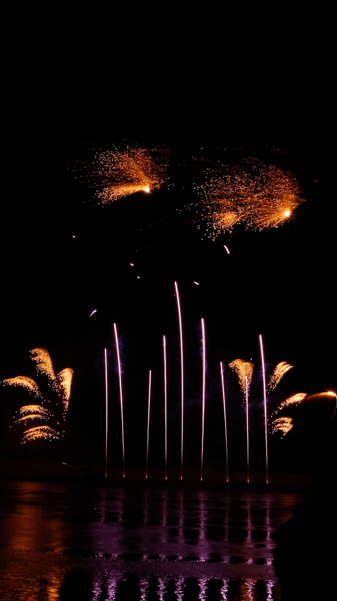 a group of fireworks are lit up in the night sky